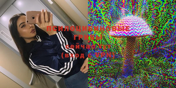 спайс Алзамай