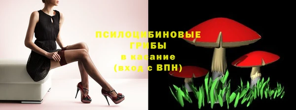 спайс Алзамай