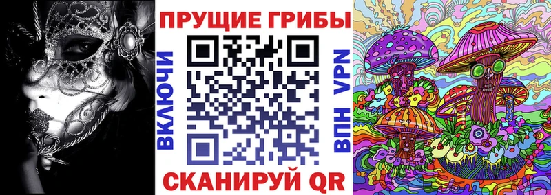 Галлюциногенные грибы прущие грибы  Неман 